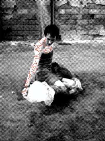 photo.jpg