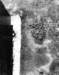cracco08_small.jpg