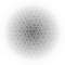 giap02_small.jpg
