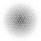 giap04_small.jpg