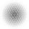giap05_small.jpg