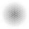 giap09_small.jpg