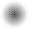giap13_small.jpg