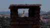 caminor_small.jpg