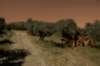 macchinaagricola_small.jpg