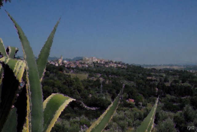 rosignano2.jpg