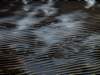 dsc09644_small.jpg