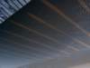 dsc09750_small.jpg