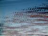 dsc09758_small.jpg