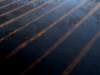 dsc09781_small.jpg