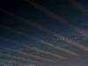 dsc09818_small.jpg