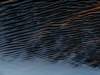 dsc09825_small.jpg
