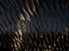 dsc09826_small.jpg