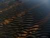 dsc09831_small.jpg