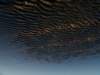dsc09832_small.jpg