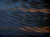 dsc09833_small.jpg