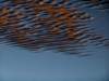 dsc09848_small.jpg