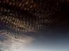 dsc09854_small.jpg