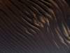 dsc09863_small.jpg