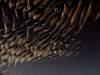 dsc09864_small.jpg