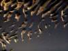 dsc09865_small.jpg