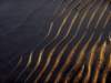 dsc09875_small.jpg