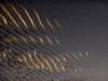 dsc09878_small.jpg