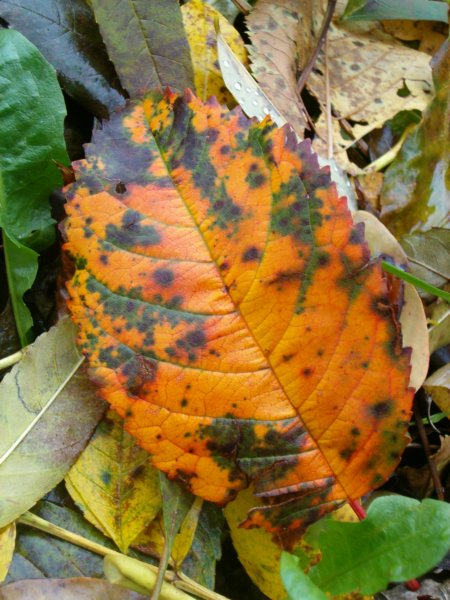 foto6.jpg