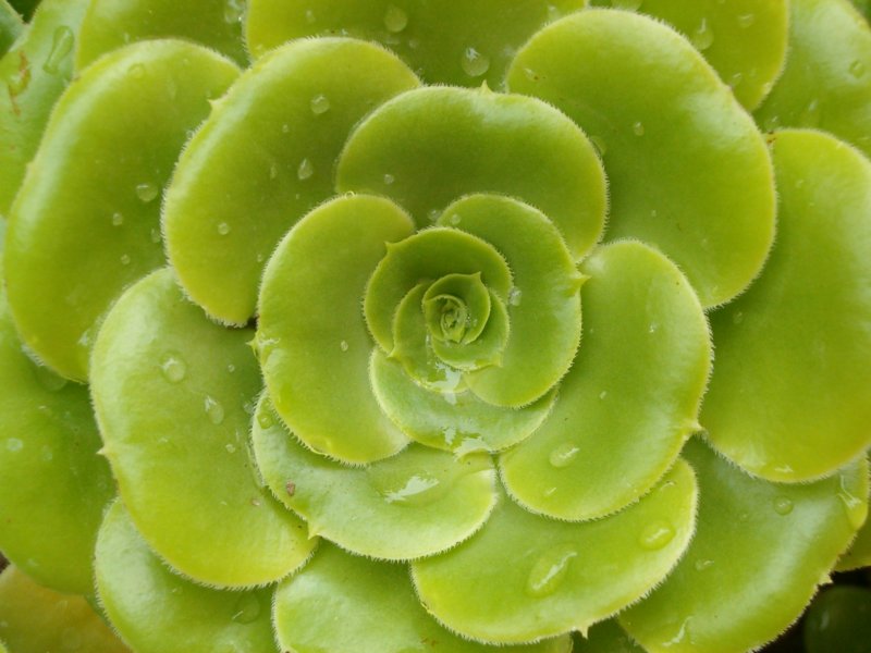 foto9.jpg