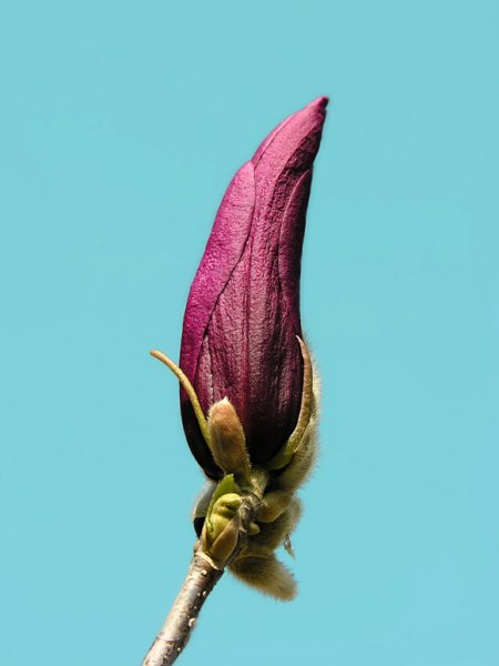 natura6.jpg
