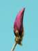 natura6_small.jpg