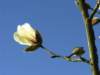 natura8_small.jpg