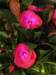 natura9_small.jpg