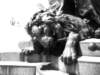 venezia15_small.jpg