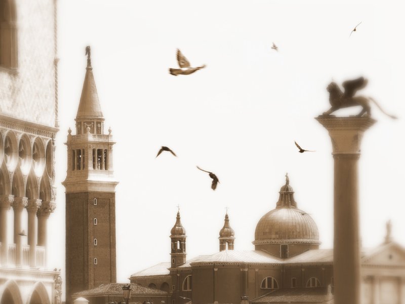 venezia3.jpg