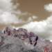 scol296monti_small.jpg