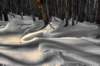 winter1_small.jpg