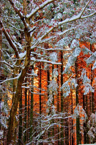 winter6.jpg