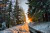 winter8_small.jpg