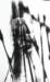 fornasa09_small.jpg