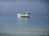 dsc02942_small.jpg