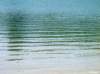 dsc03739_small.jpg