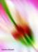 gianfranco_marcatelli_inmovimento_014_small.jpg