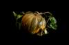 giovannisarroccomostraonline10_small.jpg