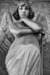 dpp07dd011a0d0b21_small.jpg