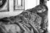dpp07dd011a0e3347_small.jpg