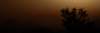saturojaimesgroves_small.jpg
