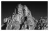 dsc_3549_small.jpg