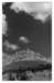 dsc_3743_small.jpg