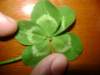 dsc05081_small.jpg
